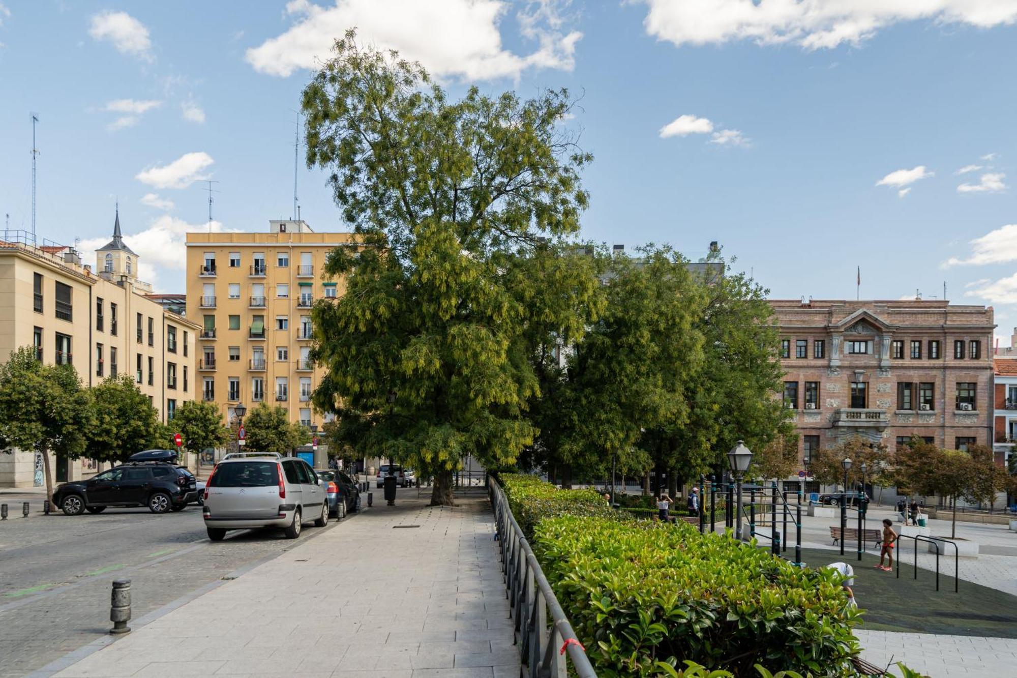 Precioso Apartamento La Latina-Rastro Arn Madrid Dış mekan fotoğraf